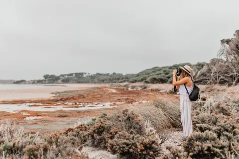 Using Social Media Without Hurting Nature