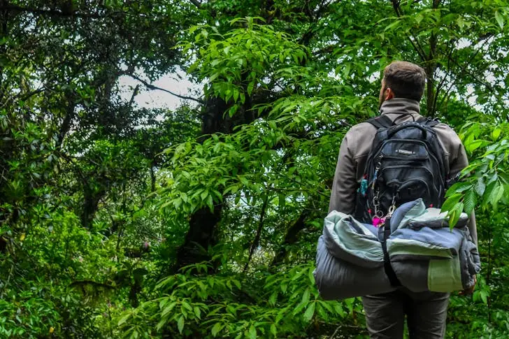 The ultimate guide on how to survive a wildfire.