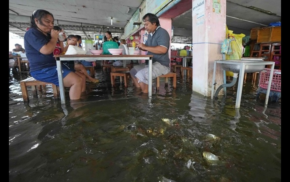 Thai Restaurant Turns Seasonal Flooding into a Dining Attraction with Swimming Fish