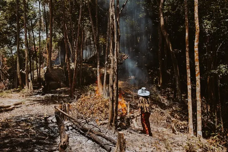 The ultimate guide on how to survive a wildfire.