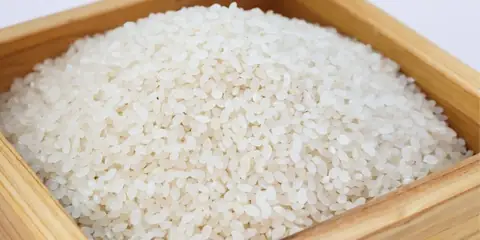 The Benefits of Eating Rice: A Culinary and Nutritional Odyssey on Your Plate!